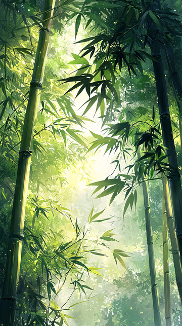 绿意盎然的竹林