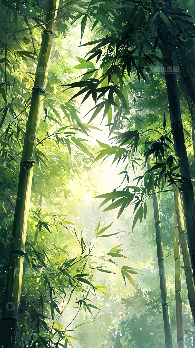 高清大图下载【趣麦麦图】绿意盎然的竹林