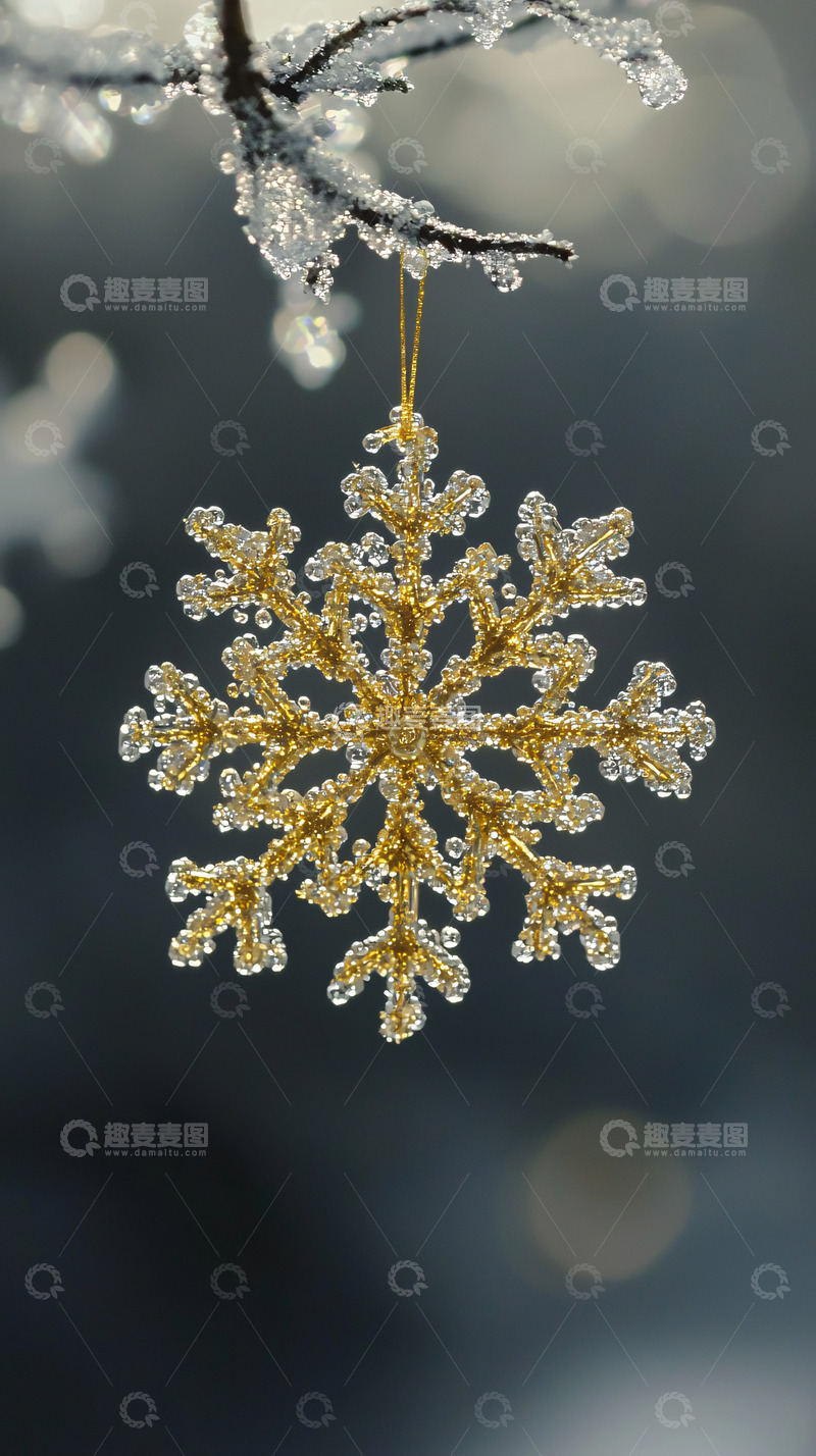 高清大图下载【趣麦麦图】冰雪树枝上的金色雪花装饰
