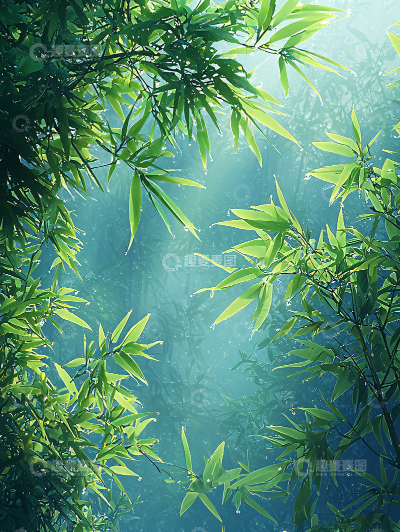 高清大图下载【趣麦麦图】向上仰望的竹林清新意境