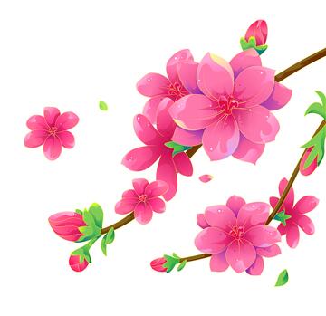 矢量描边鲜花国风插画