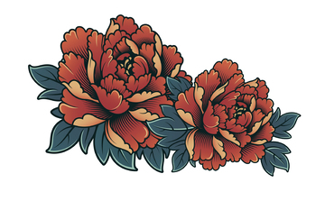 牡丹花复古插画潮流描边插图