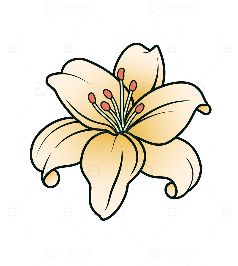百合花描边卡通插画