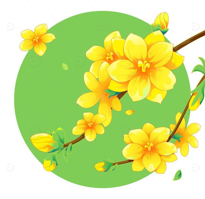 矢量春天鲜花迎春花插画