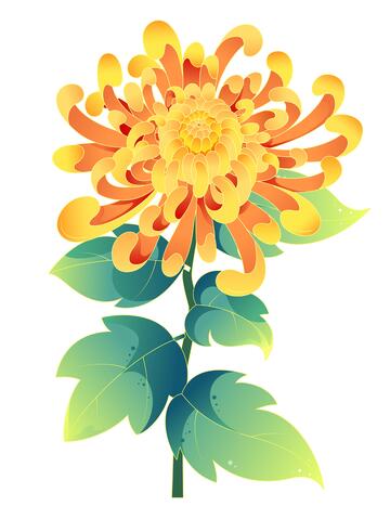 矢量描边中国风菊花卡通插画