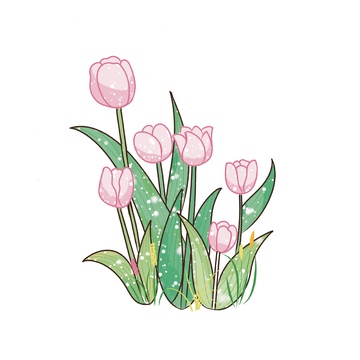 治愈系粉色郁金香植物