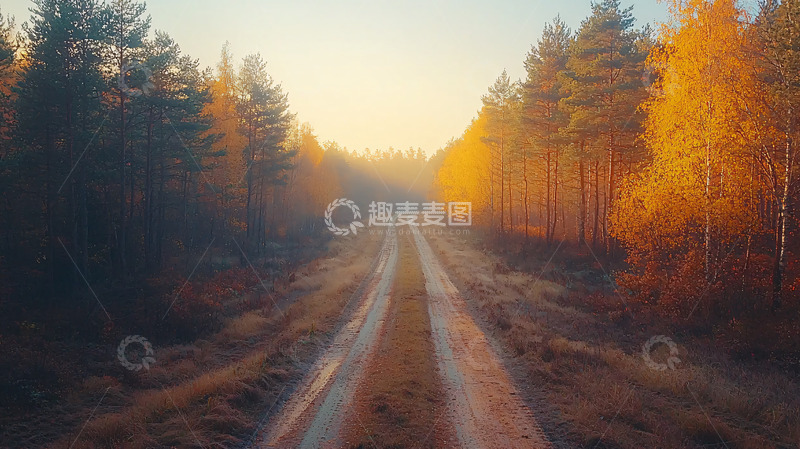 高清大图下载【趣麦麦图】秋日森林道路