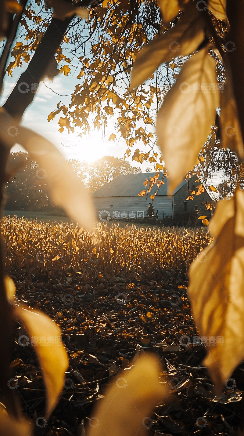 高清大图下载【趣麦麦图】秋日落日余晖下的乡村房屋