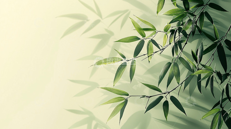 高清大图下载【趣麦麦图】水墨竹叶