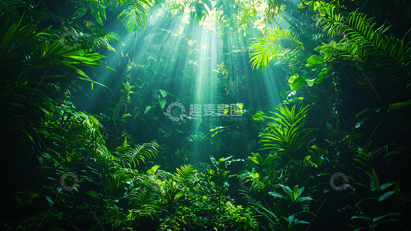 高清大图下载【趣麦麦图】阳光穿透绿色丛林