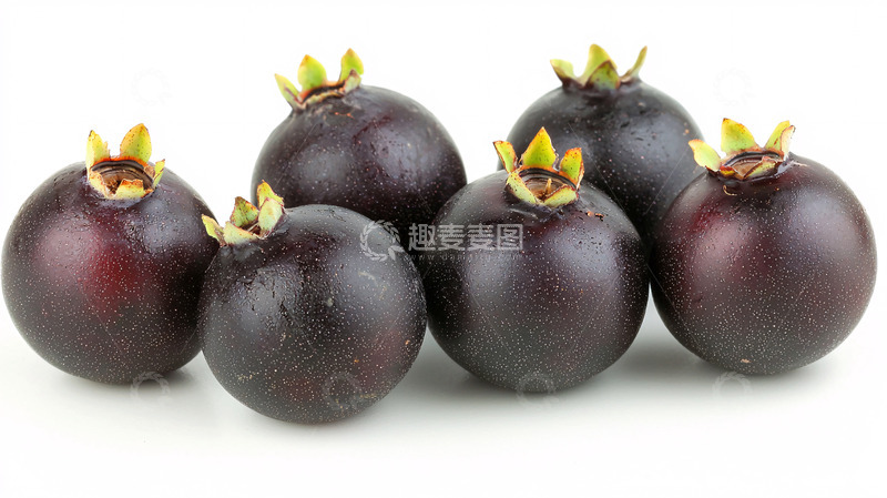 高清大图下载【趣麦麦图】六颗黑色浆果特写
