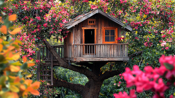 树屋