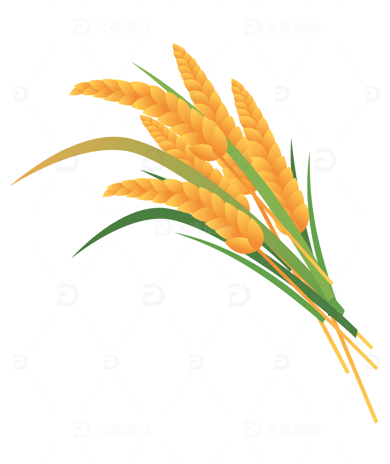  扁平风麦穗矢量插画