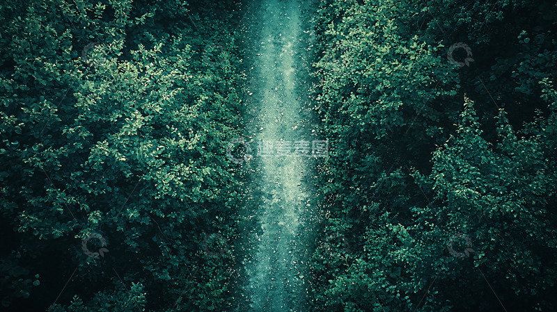 高清大图下载【趣麦麦图】森林中的道路俯瞰视角
