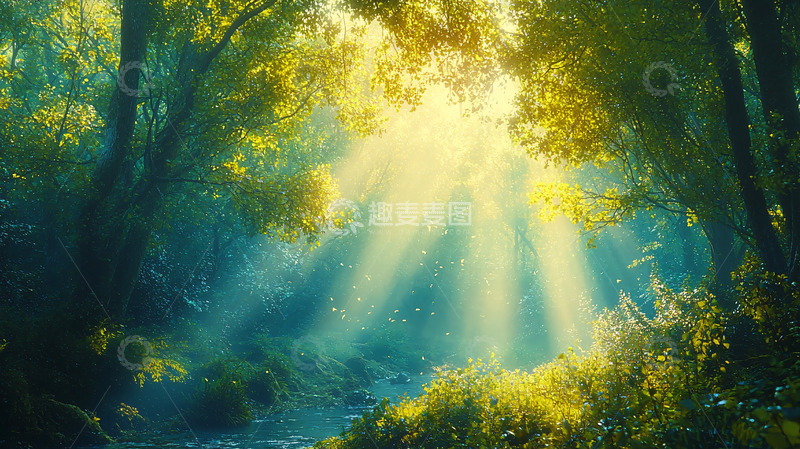 高清大图下载【趣麦麦图】阳光透过树林