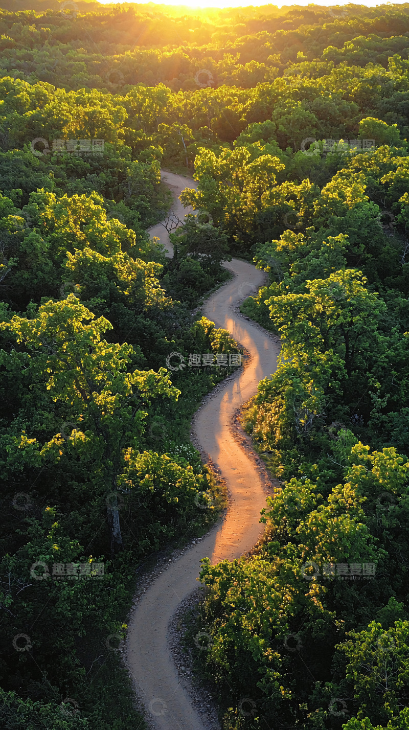 高清大图下载【趣麦麦图】蜿蜒的道路穿过绿意盎然的森林