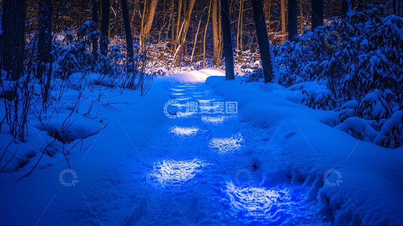 高清大图下载【趣麦麦图】雪地发光小路