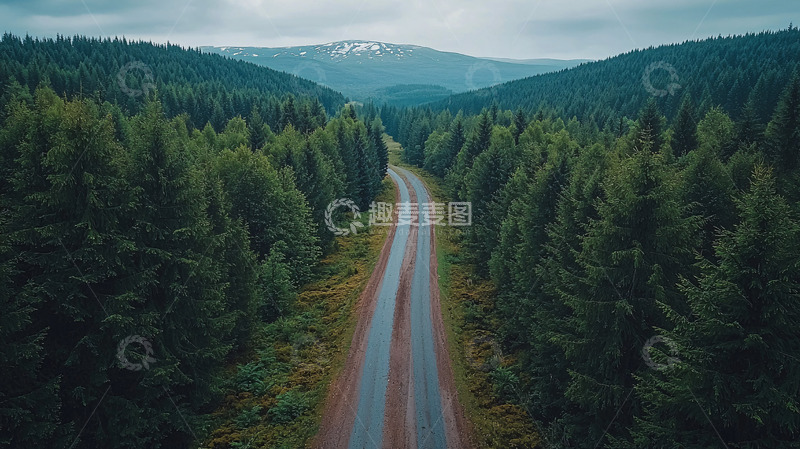 高清大图下载【趣麦麦图】森林公路延伸至远山