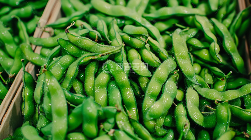 高清大图下载【趣麦麦图】新鲜饱满的绿色豆荚
