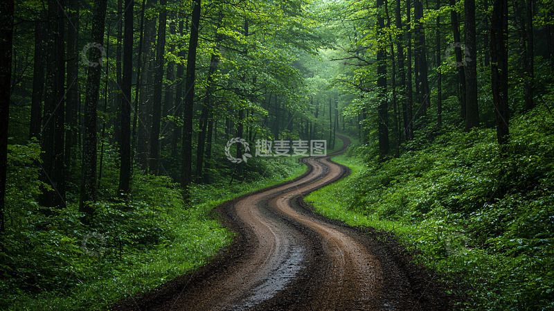 高清大图下载【趣麦麦图】蜿蜒的道路穿过葱郁森林