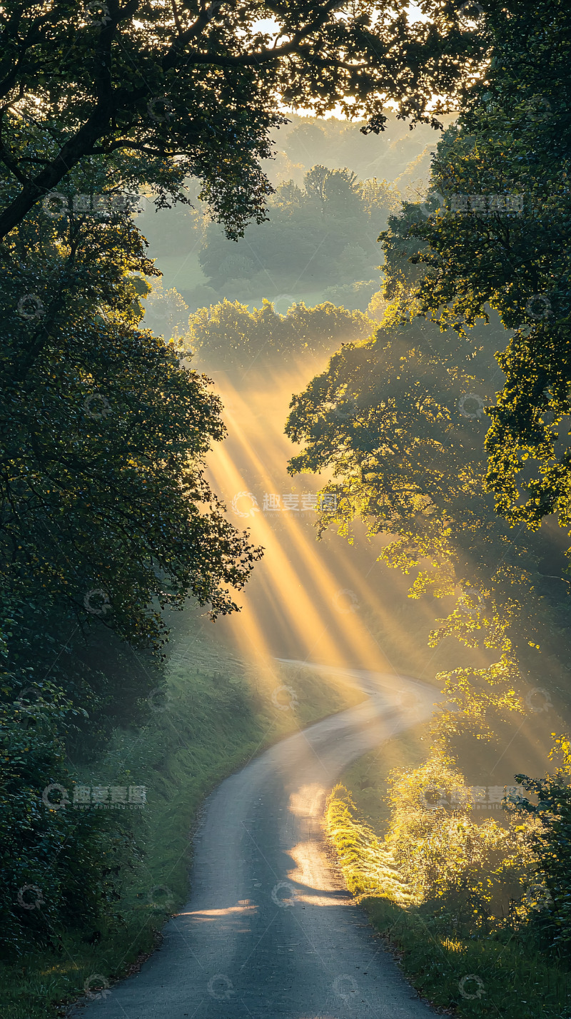 高清大图下载【趣麦麦图】阳光穿透森林的道路
