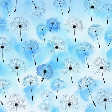 小清新水彩蒲公英