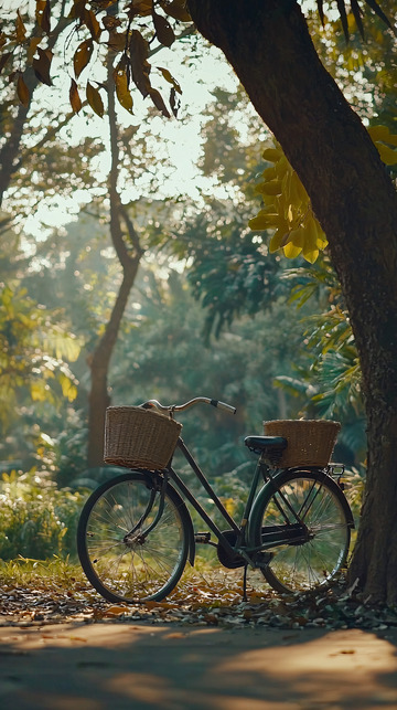 复古自行车树荫下