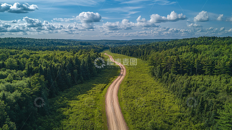 高清大图下载【趣麦麦图】蜿蜒小路穿梭于翠绿森林
