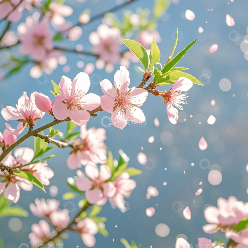 高清大图下载【趣麦麦图】春天桃花盛开摄影图