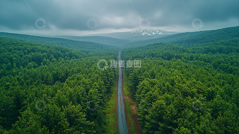 高清大图下载【趣麦麦图】森林公路远眺雪山