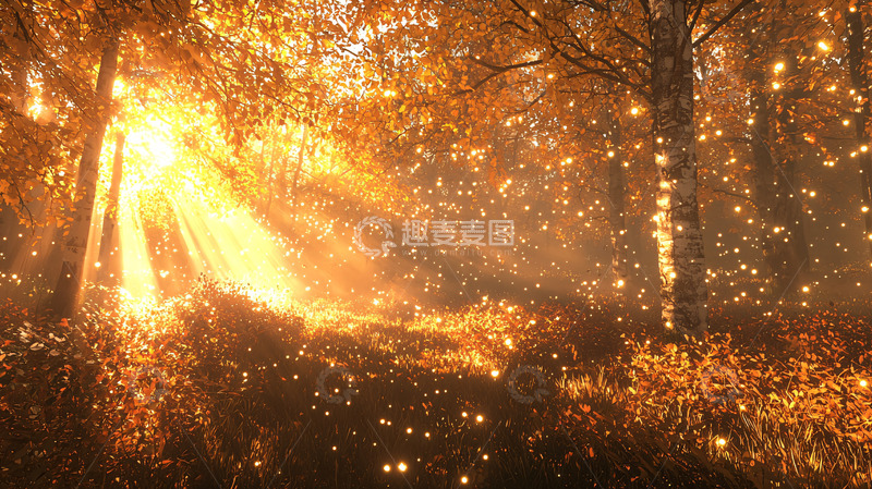 高清大图下载【趣麦麦图】金色森林