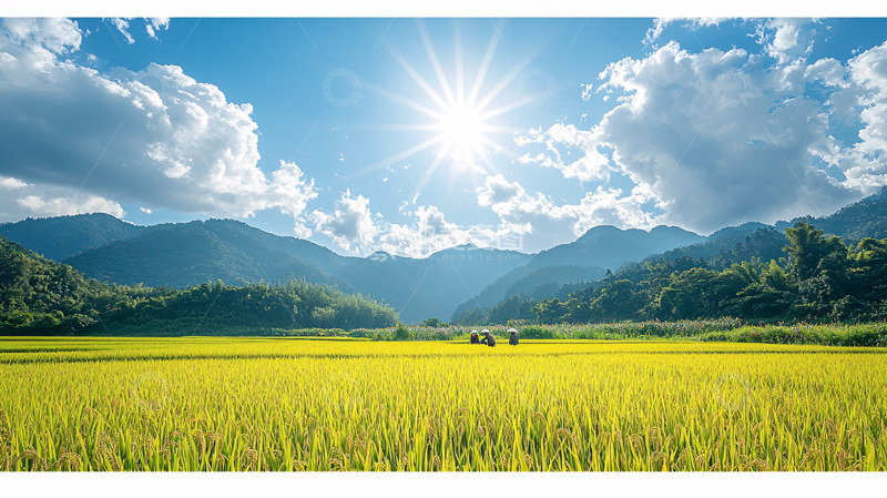 高清大图下载【趣麦麦图】阳光明媚田园风光