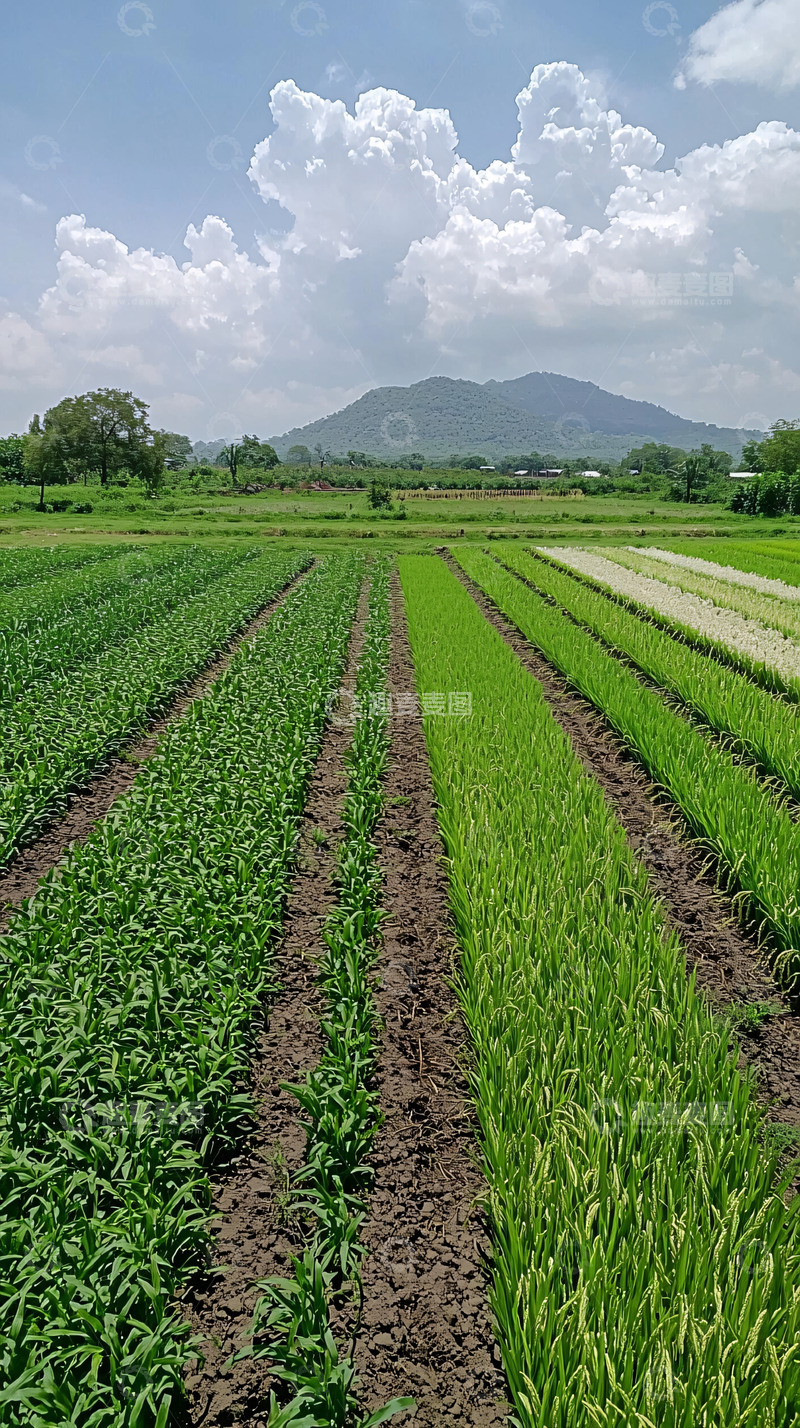 高清大图下载【趣麦麦图】田园风光57