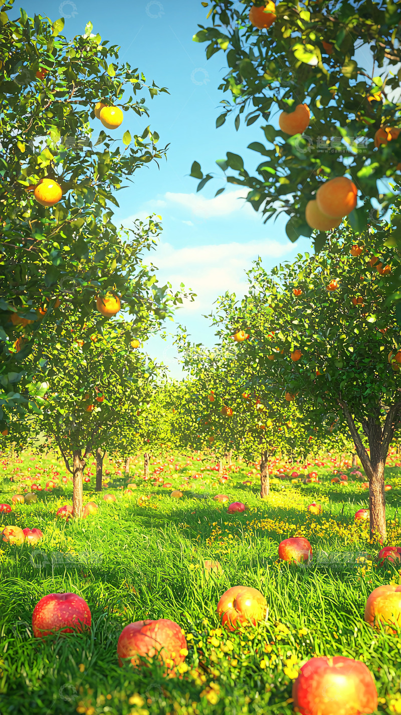 高清大图下载【趣麦麦图】阳光下果园苹果树