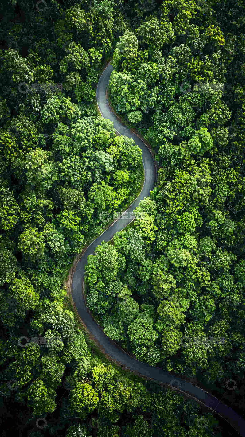 高清大图下载【趣麦麦图】绿色森林公路