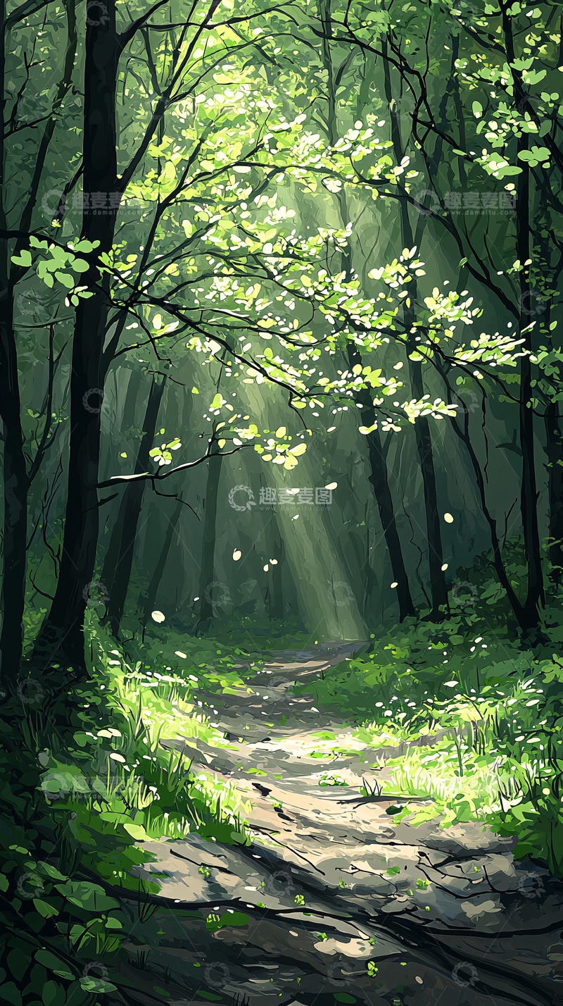 高清大图下载【趣麦麦图】阳光穿透森林