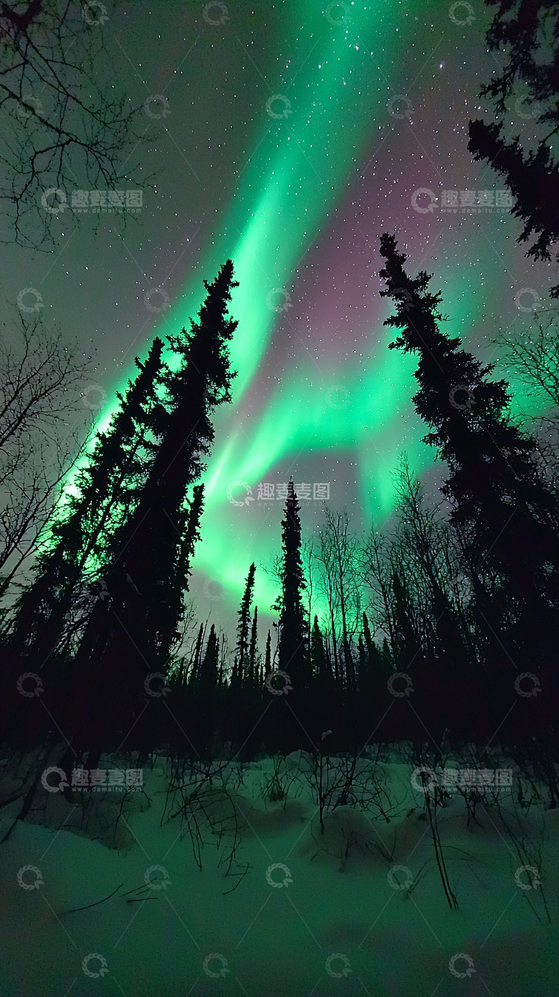 高清大图下载【趣麦麦图】极光森林雪景