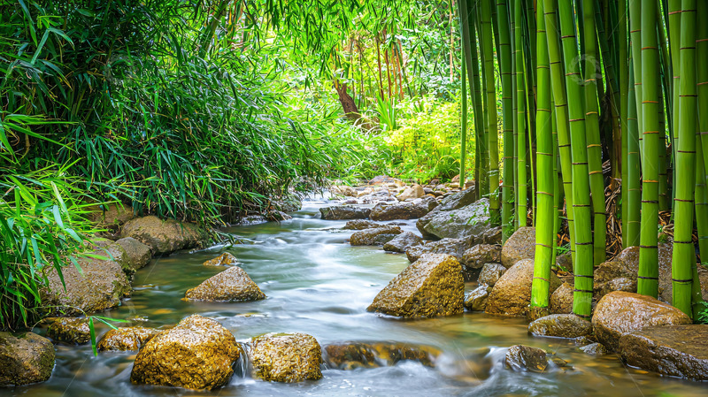 高清大图下载【趣麦麦图】翠竹清流溪石小径