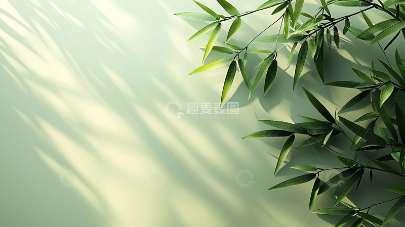 高清大图下载【趣麦麦图】绿植背景