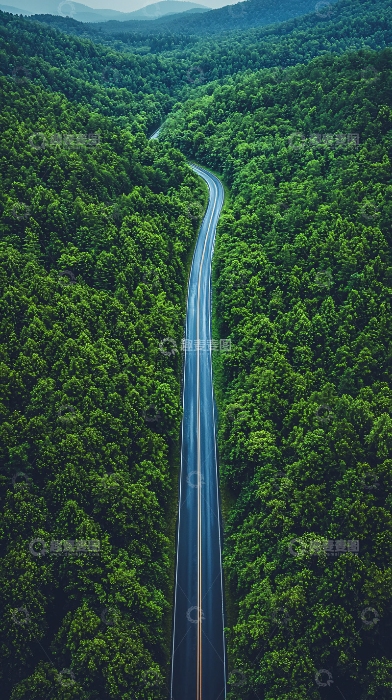 高清大图下载【趣麦麦图】蜿蜒公路穿梭绿色森林