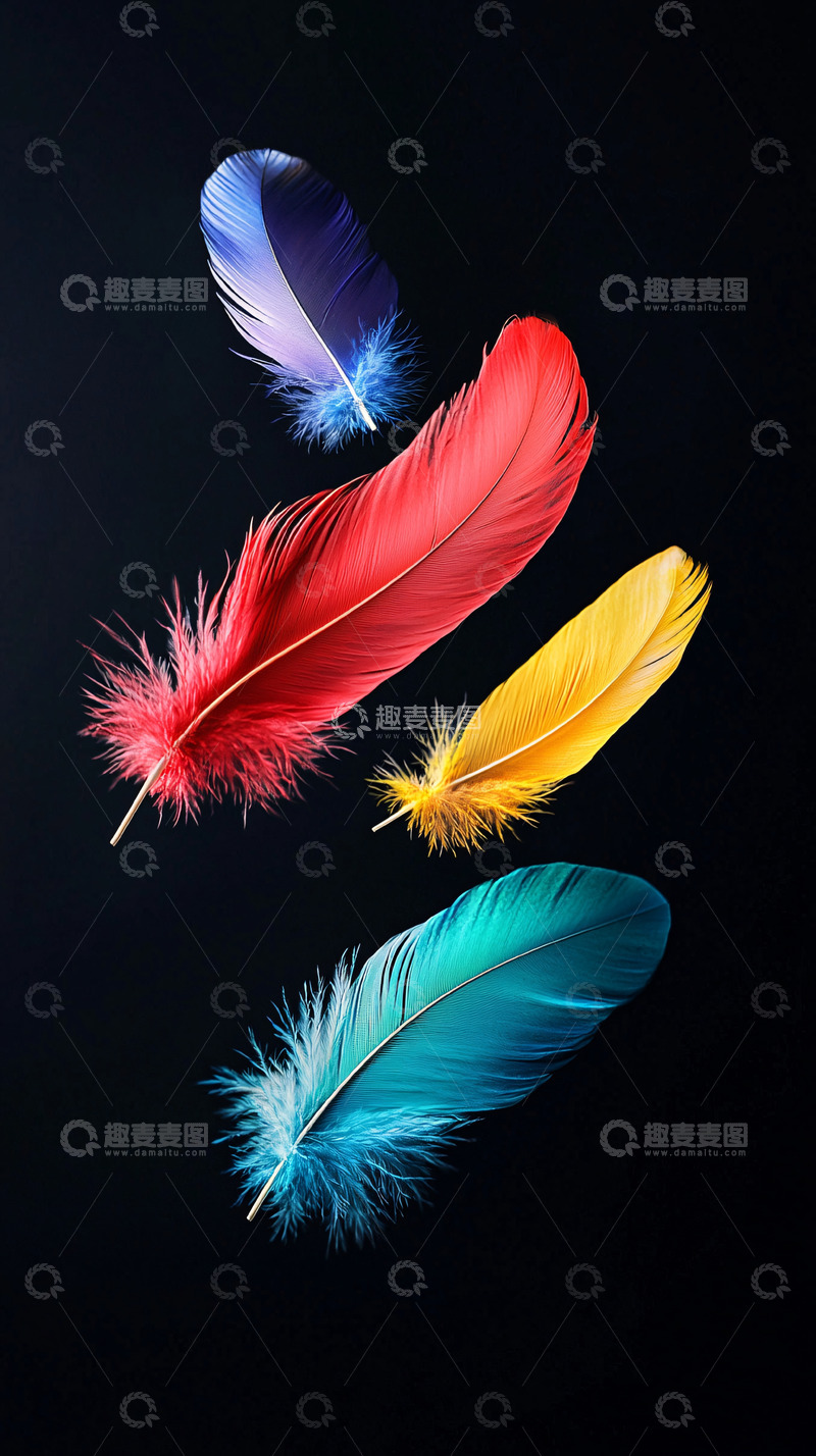 高清大图下载【趣麦麦图】彩色羽毛
