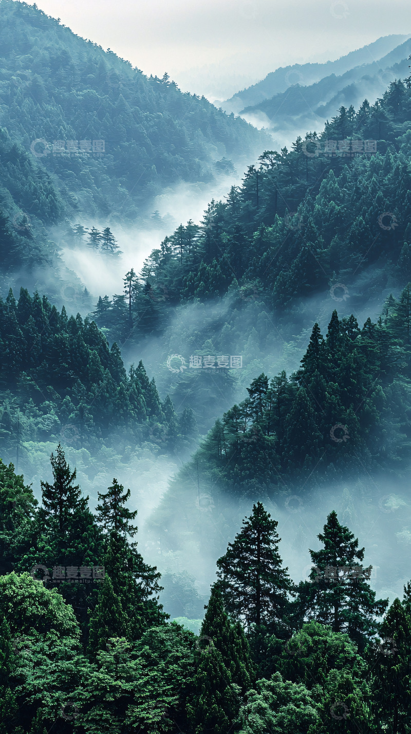 高清大图下载【趣麦麦图】雾气缭绕的山峦森林