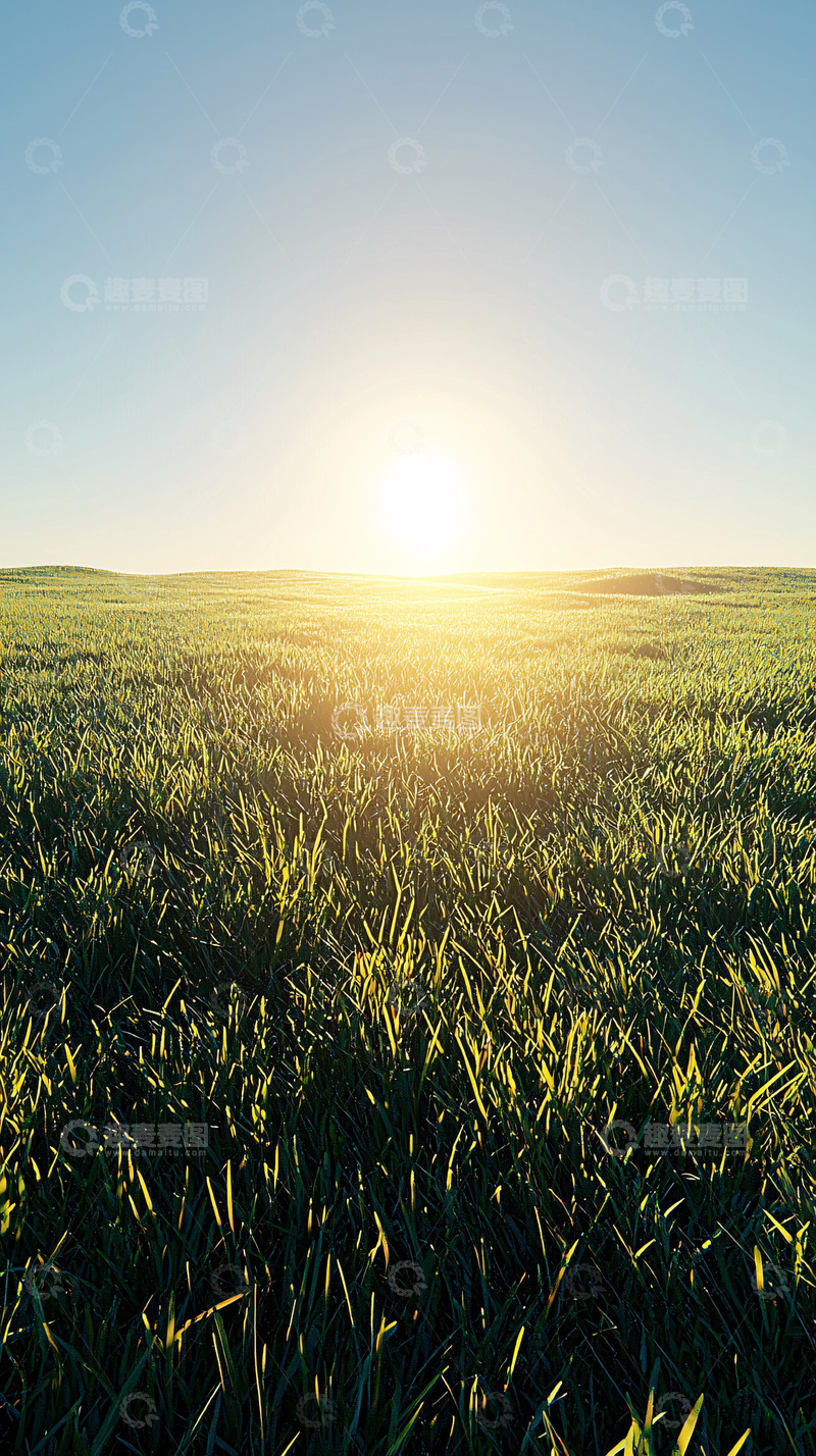 高清大图下载【趣麦麦图】日出麦田广阔景色