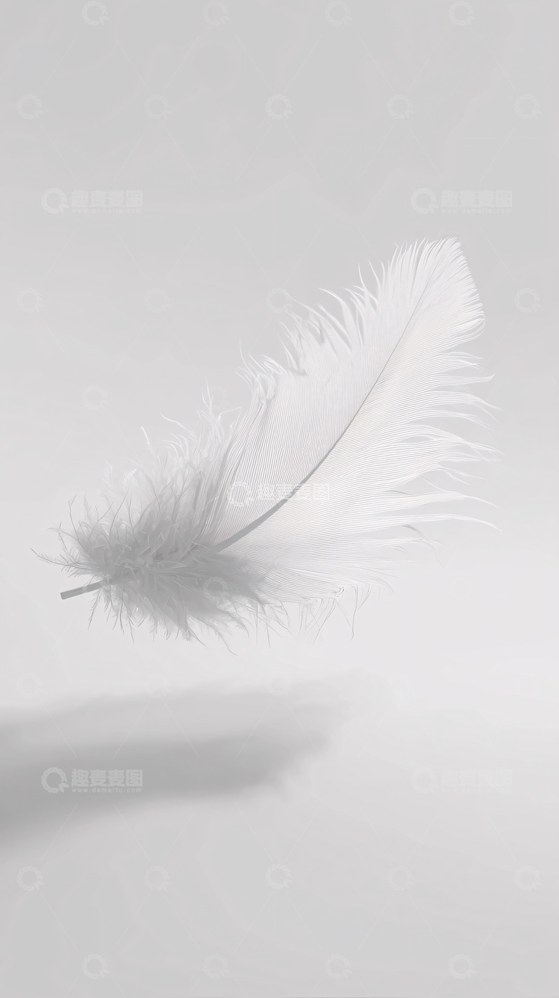 高清大图下载【趣麦麦图】白色羽毛