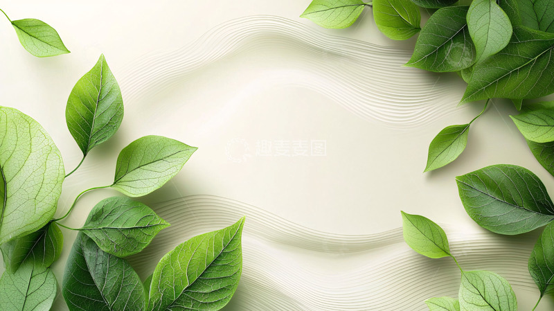 高清大图下载【趣麦麦图】绿色叶子背景