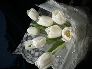 白色郁金香 花束