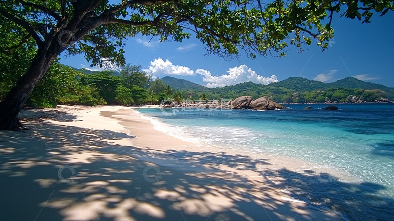 高清大图下载【趣麦麦图】热带海滩树荫下的沙滩