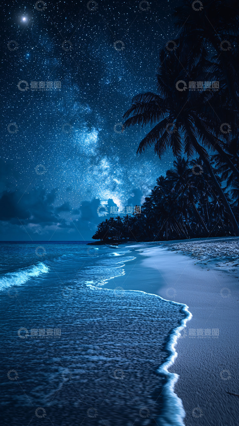 高清大图下载【趣麦麦图】夜空下的海滩