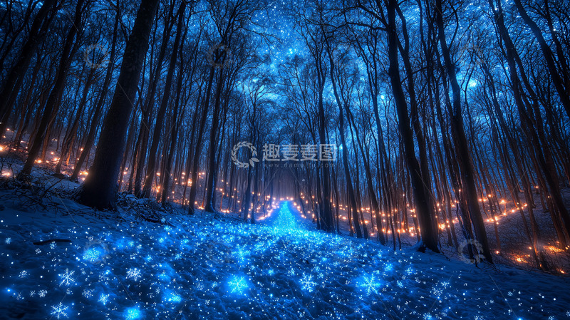 高清大图下载【趣麦麦图】蓝色森林夜景