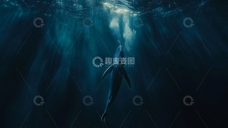 高清大图下载【趣麦麦图】深海鲸鱼喷水